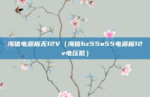 海信电源板无12V（海信hz55a55电源板12v电压低）