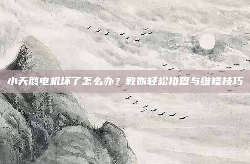 小天鹅电机坏了怎么办?教你轻松排查与维修技巧