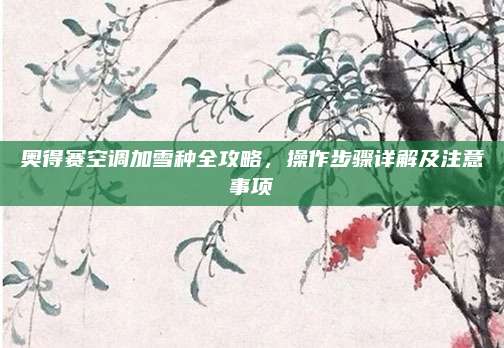 奥得赛空调加雪种全攻略，操作步骤详解及注意事项