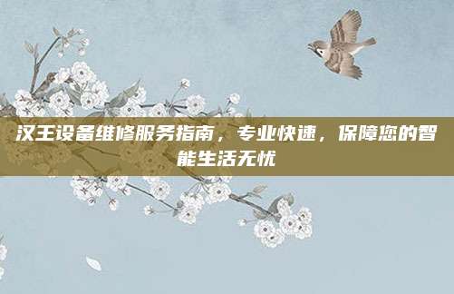汉王设备维修服务指南，专业快速，保障您的智能生活无忧