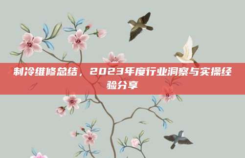制冷维修总结,2023年度行业洞察与实操经验分享