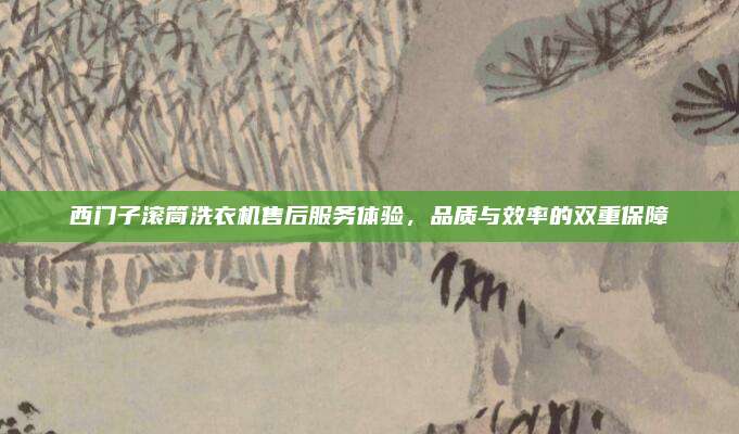 西门子滚筒洗衣机售后服务体验,品质与效率的双重保障