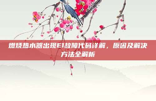 燃烧热水器出现E1故障代码详解，原因及解决方法全解析
