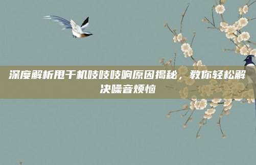 深度解析甩干机吱吱吱响原因揭秘,教你轻松解决噪音烦恼