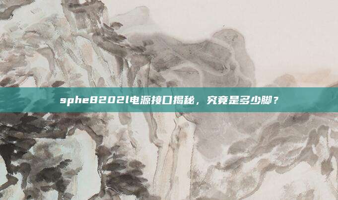 sphe8202l电源接口揭秘,究竟是多少脚?