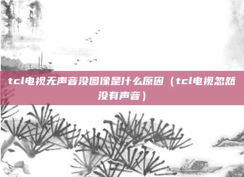 tcl电视无声音没图像是什么原因（tcl电视忽然没有声音）