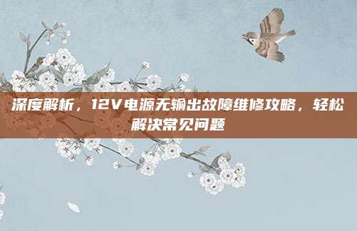 深度解析,12V电源无输出故障维修攻略,轻松解决常见问题