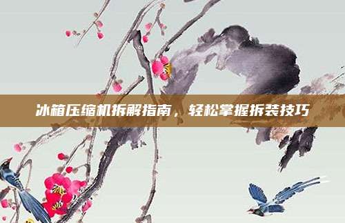 冰箱压缩机拆解指南,轻松掌握拆装技巧
