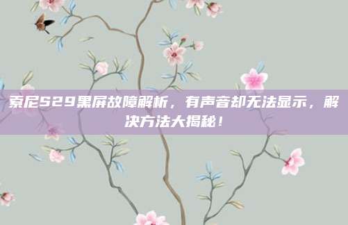 索尼S29黑屏故障解析,有声音却无法显示,解决方法大揭秘!