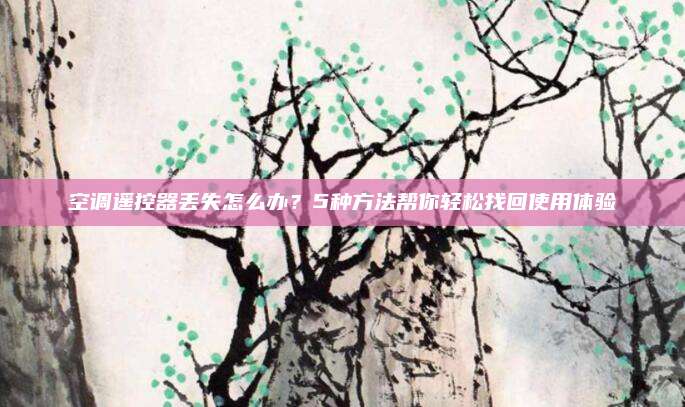 空调遥控器丢失怎么办?5种方法帮你轻松找回使用体验