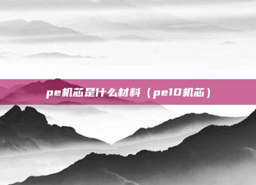 pe机芯是什么材料(pe10机芯)