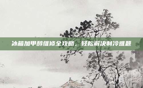 冰箱加甲醇维修全攻略，轻松解决制冷难题
