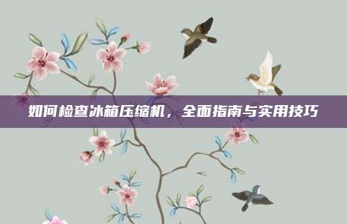 如何检查冰箱压缩机，全面指南与实用技巧