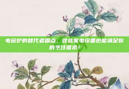 电磁炉的替代者盘点，这些家电设备也能满足你的烹饪需求！