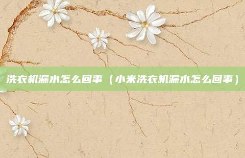 洗衣机漏水怎么回事（小米洗衣机漏水怎么回事）