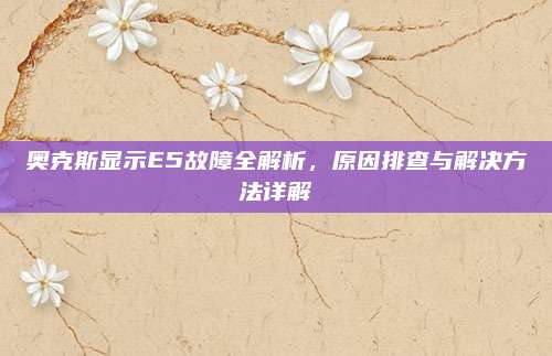 奥克斯显示E5故障全解析,原因排查与解决方法详解