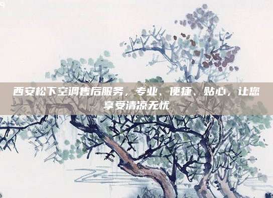 西安松下空调售后服务,专业、便捷、贴心,让您享受清凉无忧
