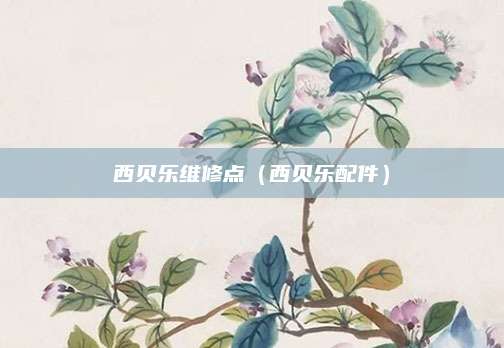 西贝乐维修点（西贝乐配件）