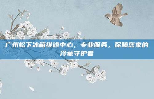 广州松下冰箱维修中心，专业服务，保障您家的冷藏守护者
