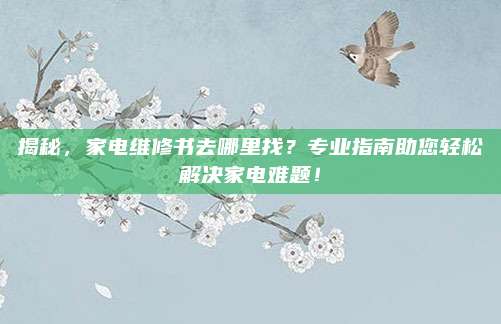 揭秘，家电维修书去哪里找？专业指南助您轻松解决家电难题！