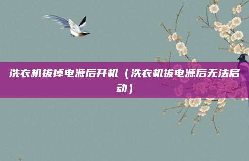 洗衣机拔掉电源后开机（洗衣机拔电源后无法启动）