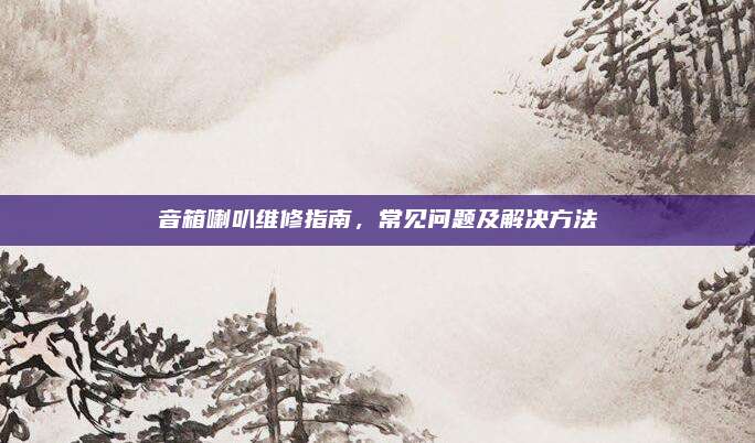 音箱喇叭维修指南,常见问题及解决方法