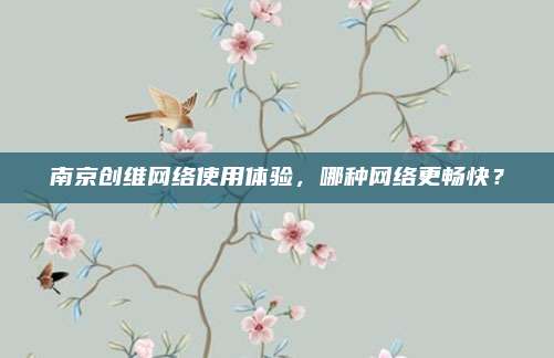 南京创维网络使用体验,哪种网络更畅快?