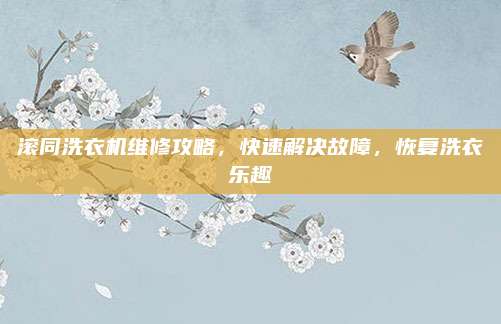 滚同洗衣机维修攻略，快速解决故障，恢复洗衣乐趣