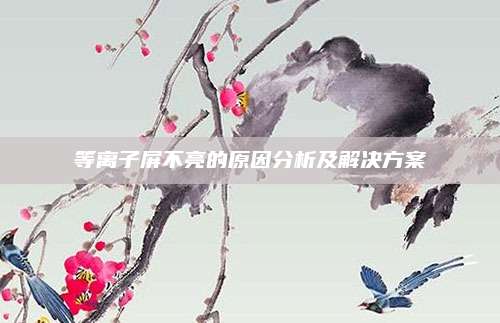 等离子屏不亮的原因分析及解决方案