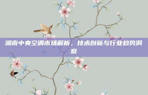 湖南中央空调市场解析,技术创新与行业趋势洞察
