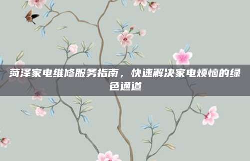 菏泽家电维修服务指南，快速解决家电烦恼的绿色通道