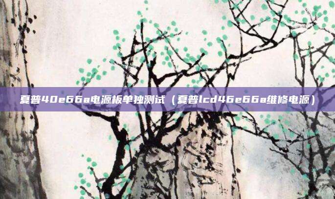 夏普40e66a电源板单独测试（夏普lcd46e66a维修电源）