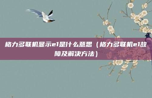 格力多联机显示e1是什么意思（格力多联机e1故障及解决方法）