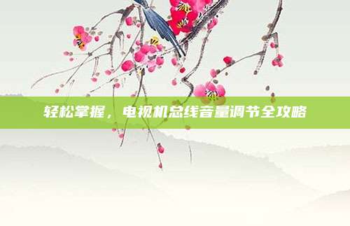 轻松掌握,电视机总线音量调节全攻略