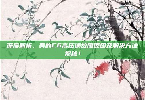深度解析,美的C6高压锅故障原因及解决方法揭秘!