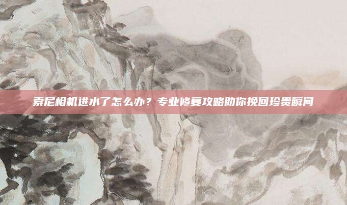 索尼相机进水了怎么办?专业修复攻略助你挽回珍贵瞬间