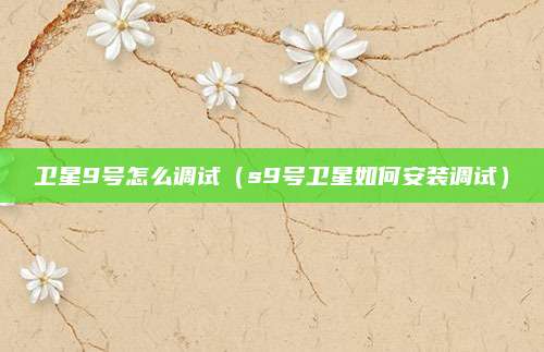 卫星9号怎么调试（s9号卫星如何安装调试）