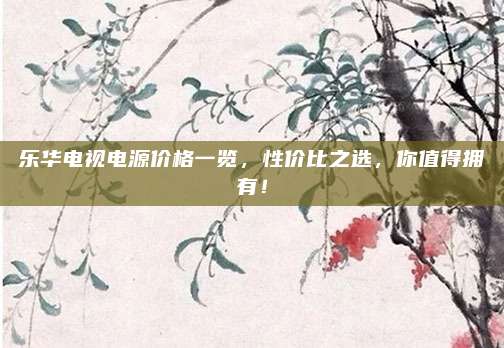 乐华电视电源价格一览,性价比之选,你值得拥有!