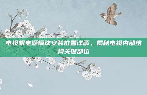 电视机电源模块安装位置详解，揭秘电视内部结构关键部位