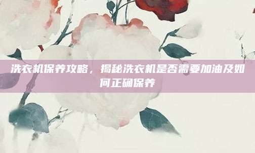 洗衣机保养攻略,揭秘洗衣机是否需要加油及如何正确保养