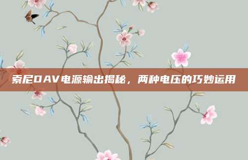 索尼DAV电源输出揭秘，两种电压的巧妙运用