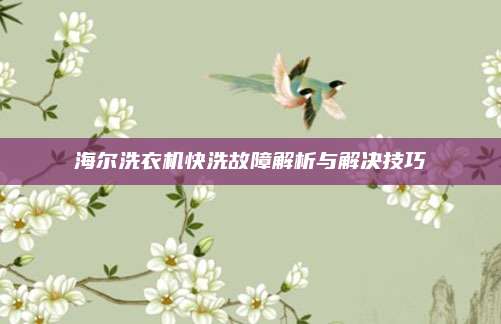 海尔洗衣机快洗故障解析与解决技巧