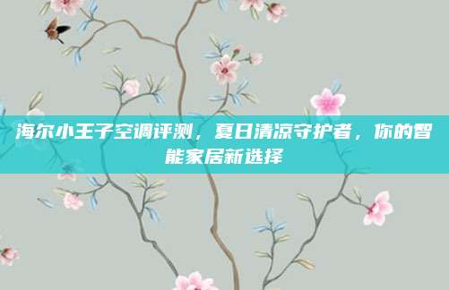 海尔小王子空调评测,夏日清凉守护者,你的智能家居新选择