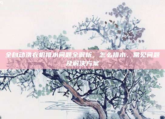 全自动洗衣机排水问题全解析,怎么排水、常见问题及解决方案