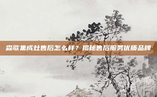 森歌集成灶售后怎么样?揭秘售后服务优质品牌