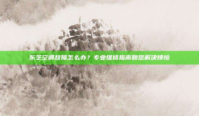 东芝空调故障怎么办?专业维修指南助您解决烦恼