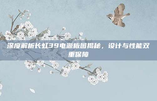 深度解析长虹39电源板图揭秘,设计与性能双重保障