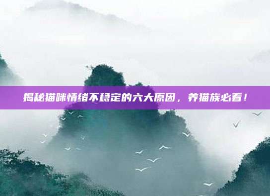 揭秘猫咪情绪不稳定的六大原因,养猫族必看!
