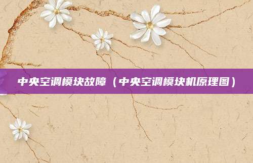 中央空调模块故障（中央空调模块机原理图）