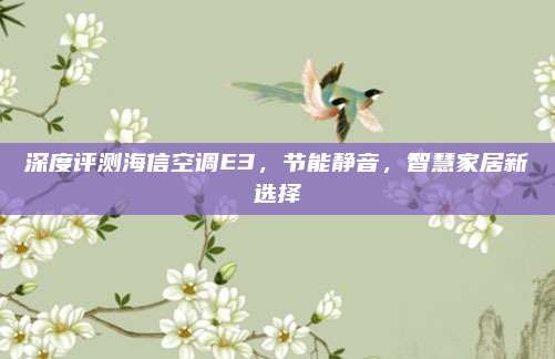 深度评测海信空调E3,节能静音,智慧家居新选择